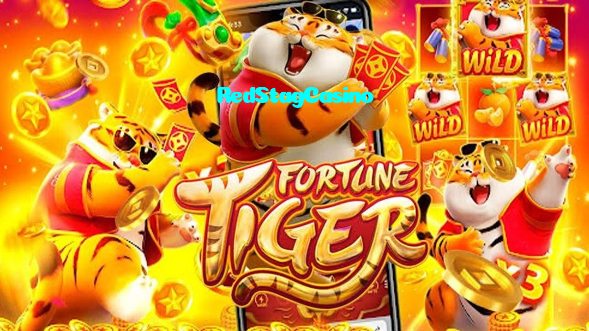 available types of RedStagCasino bet including pre-match live express and system bets
